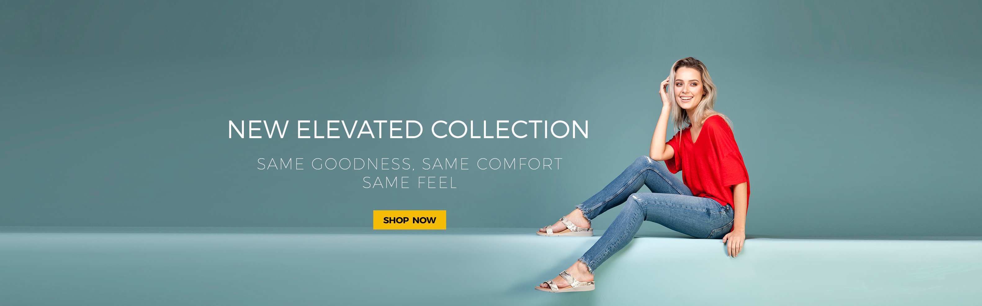Strive Elevated Collection Banner